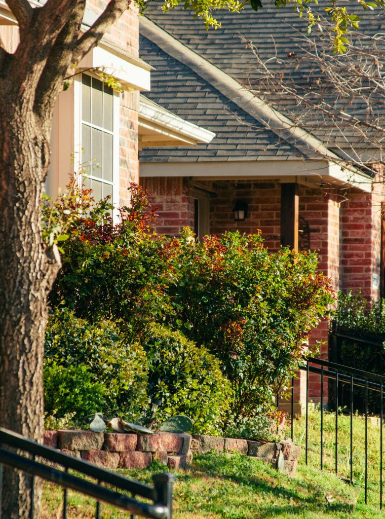 neighborhood-houses-along-the-street-front-yar-2024-11-27-11-15-21-utc